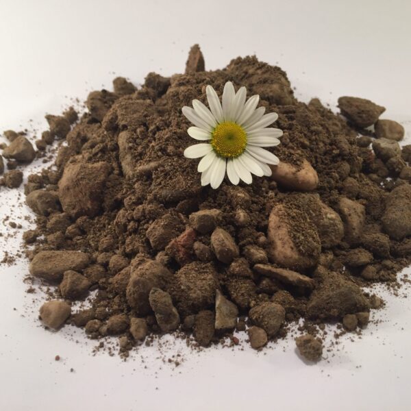 Mlete ruševine